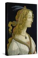 Idealized Portrait of a Lady (Allegedly Simonetta Vespucci), about 1480-Sandro Botticelli-Stretched Canvas