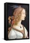 Idealized Portrait of a Lady (Portrait of Simonetta Vespucc), C. 1480-Sandro Botticelli-Framed Stretched Canvas