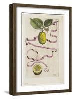 Idem Aurantium Limonis Effigle, from Hesperides, 1646-Giovanni Battista Ferrari-Framed Giclee Print