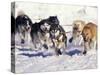 Iditarod Dog Sled Racing through Streets of Anchorage, Alaska, USA-Paul Souders-Stretched Canvas