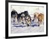 Iditarod Dog Sled Racing through Streets of Anchorage, Alaska, USA-Paul Souders-Framed Photographic Print