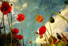 Grunge Poppy Field-idizimage-Art Print