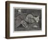 Idleness-null-Framed Giclee Print