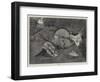 Idleness-null-Framed Giclee Print