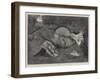 Idleness-null-Framed Giclee Print