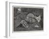 Idleness-null-Framed Giclee Print