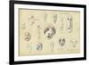 Idols from Mr Shapira's Collection, Plate 7, 1872-Claude Conder-Framed Giclee Print