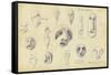 Idols from Mr Shapira's Collection, Plate 7, 1872-Claude Conder-Framed Stretched Canvas