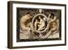 Idyll, 1884-Gustav Klimt-Framed Giclee Print