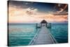 Idyllic Arbor on Water, Maldive Islands-PlusONE-Stretched Canvas