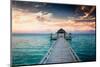 Idyllic Arbor on Water, Maldive Islands-PlusONE-Mounted Photographic Print