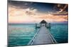 Idyllic Arbor on Water, Maldive Islands-PlusONE-Mounted Photographic Print