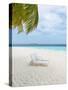 Idyllic Beach in the Maldives-John Harper-Stretched Canvas