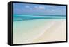 Idyllic Beach in the Maldives-John Harper-Framed Stretched Canvas