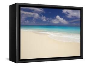Idyllic Beach, Maldives, Indian Ocean-Papadopoulos Sakis-Framed Stretched Canvas