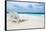 Idyllic Beach Scene in the Maldives-John Harper-Framed Stretched Canvas