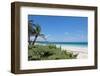 Idyllic Beach with Coconut Trees at Mexico-cristovao-Framed Photographic Print