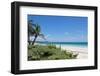 Idyllic Beach with Coconut Trees at Mexico-cristovao-Framed Photographic Print