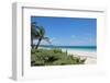 Idyllic Beach with Coconut Trees at Mexico-cristovao-Framed Photographic Print
