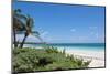 Idyllic Beach with Coconut Trees at Mexico-cristovao-Mounted Photographic Print