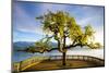 Idyllic Lakeside Park and Isola Bella, Borromean Islands, Lake Maggiore, Piedmont, Italy-Doug Pearson-Mounted Photographic Print