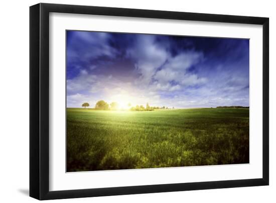 Photographic Print, , large