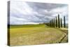 Idyllic Tuscan Landscape with Cypress Alley near Pienza, Val D'orcia, Italy-eddygaleotti-Stretched Canvas