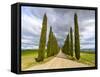 Idyllic Tuscan Landscape with Cypress Alley near Pienza, Val D'orcia, Italy-eddygaleotti-Framed Stretched Canvas