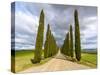 Idyllic Tuscan Landscape with Cypress Alley near Pienza, Val D'orcia, Italy-eddygaleotti-Stretched Canvas