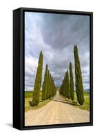 Idyllic Tuscan Landscape with Cypress Alley near Pienza, Val D'orcia, Italy-eddygaleotti-Framed Stretched Canvas