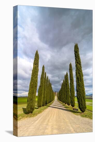 Idyllic Tuscan Landscape with Cypress Alley near Pienza, Val D'orcia, Italy-eddygaleotti-Stretched Canvas