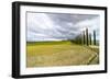 Idyllic Tuscan Landscape with Cypress Alley near Pienza, Val D'orcia, Italy-eddygaleotti-Framed Photographic Print