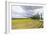 Idyllic Tuscan Landscape with Cypress Alley near Pienza, Val D'orcia, Italy-eddygaleotti-Framed Photographic Print