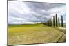 Idyllic Tuscan Landscape with Cypress Alley near Pienza, Val D'orcia, Italy-eddygaleotti-Mounted Photographic Print