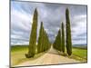 Idyllic Tuscan Landscape with Cypress Alley near Pienza, Val D'orcia, Italy-eddygaleotti-Mounted Photographic Print