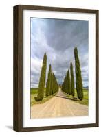 Idyllic Tuscan Landscape with Cypress Alley near Pienza, Val D'orcia, Italy-eddygaleotti-Framed Photographic Print