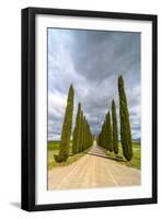 Idyllic Tuscan Landscape with Cypress Alley near Pienza, Val D'orcia, Italy-eddygaleotti-Framed Photographic Print