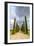 Idyllic Tuscan Landscape with Cypress Alley near Pienza, Val D'orcia, Italy-eddygaleotti-Framed Photographic Print