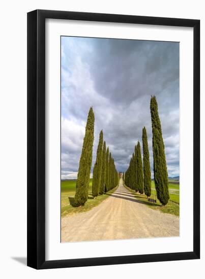 Idyllic Tuscan Landscape with Cypress Alley near Pienza, Val D'orcia, Italy-eddygaleotti-Framed Photographic Print