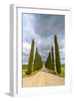 Idyllic Tuscan Landscape with Cypress Alley near Pienza, Val D'orcia, Italy-eddygaleotti-Framed Photographic Print