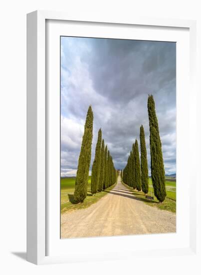 Idyllic Tuscan Landscape with Cypress Alley near Pienza, Val D'orcia, Italy-eddygaleotti-Framed Photographic Print