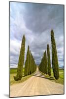 Idyllic Tuscan Landscape with Cypress Alley near Pienza, Val D'orcia, Italy-eddygaleotti-Mounted Photographic Print