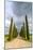 Idyllic Tuscan Landscape with Cypress Alley near Pienza, Val D'orcia, Italy-eddygaleotti-Mounted Photographic Print