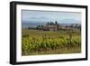 Idyllic Vineyard in La Rioja, Spain, Europe-Martin Child-Framed Photographic Print