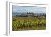 Idyllic Vineyard in La Rioja, Spain, Europe-Martin Child-Framed Photographic Print