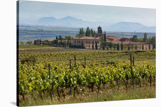 Idyllic Vineyard in La Rioja, Spain, Europe-Martin Child-Stretched Canvas