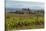 Idyllic Vineyard in La Rioja, Spain, Europe-Martin Child-Stretched Canvas