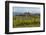 Idyllic Vineyard in La Rioja, Spain, Europe-Martin Child-Framed Photographic Print