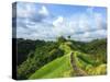 Idyllic Walking Path on Top of Green Hills. Tropical Nature Scene. Narrow Path in Rice Fields. Exot-Davdeka-Stretched Canvas