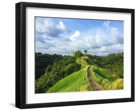 Idyllic Walking Path on Top of Green Hills. Tropical Nature Scene. Narrow Path in Rice Fields. Exot-Davdeka-Framed Photographic Print